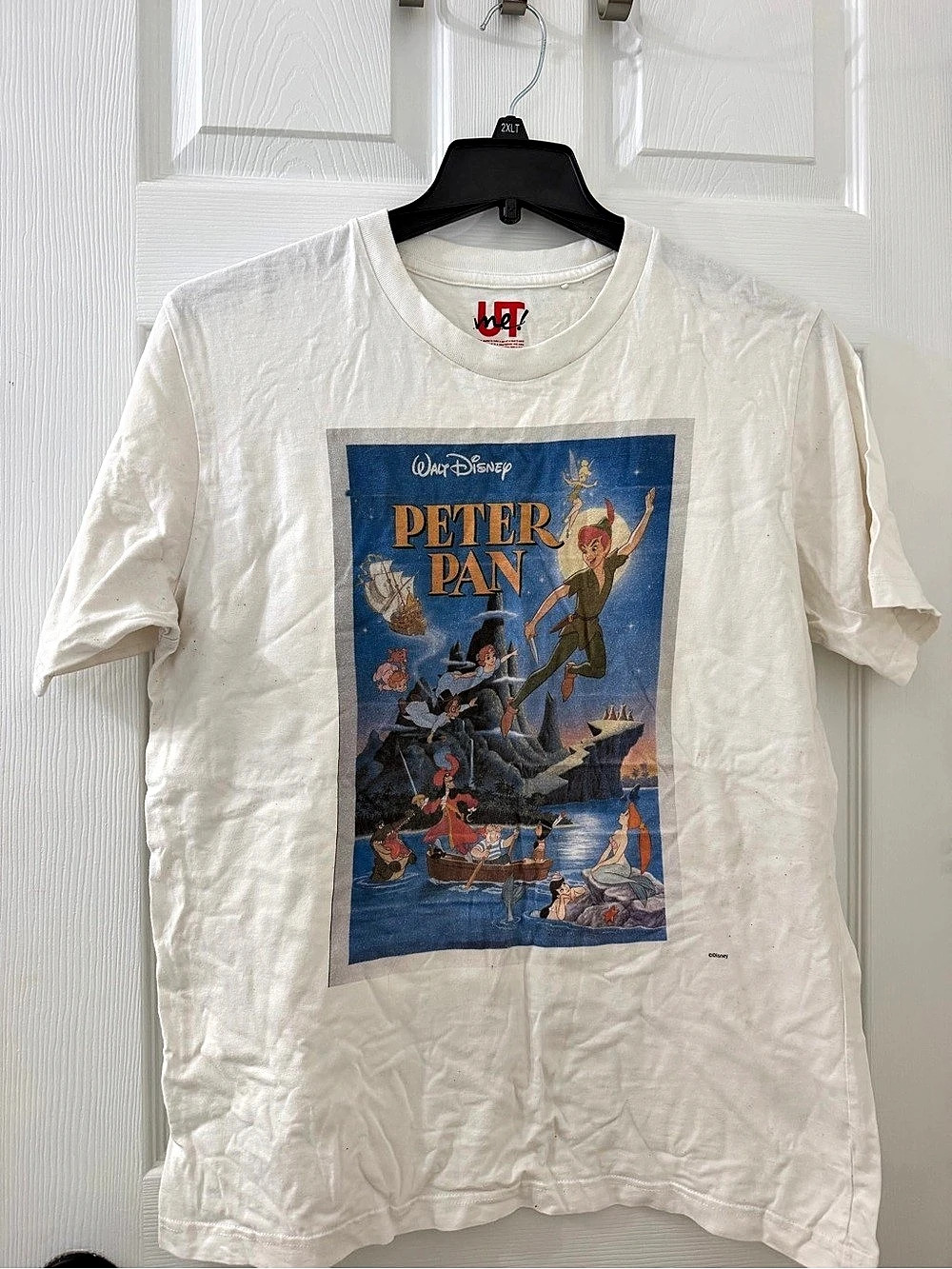 Disney Peter Pan Graphic Short Sleeve Tee